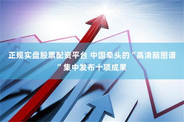 正規實盤股票配資平臺 中國牽頭的“高清腦圖譜”集中發布十項成果