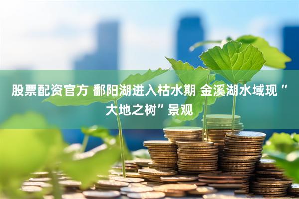 股票配資官方 鄱陽湖進(jìn)入枯水期 金溪湖水域現(xiàn)“大地之樹”景觀